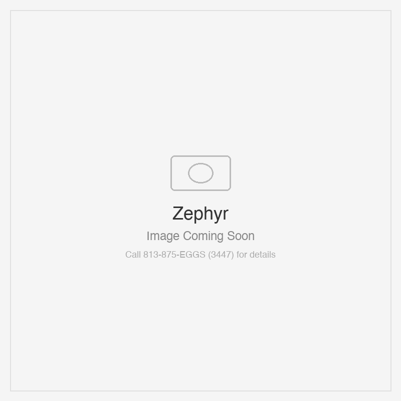 Zephyr Roma Pro Wall 48" TruHue