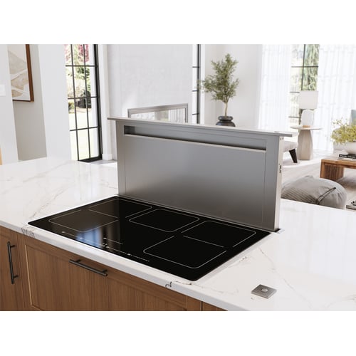 Zephyr Treviso Downdraft 14in Rise 30in SS