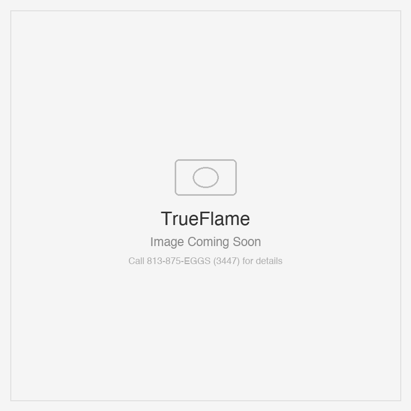 TrueFlame 18" x 22" Vented Vertical Access Door - Right Hinge