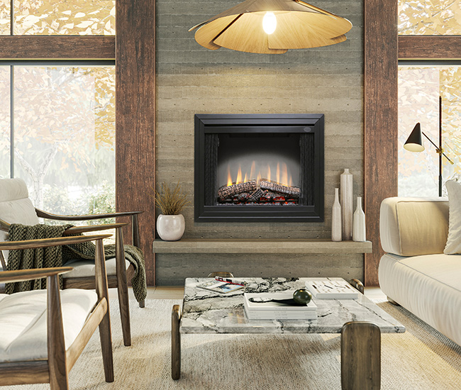 Dimplex 39" Standard Built-In Electric Firebox