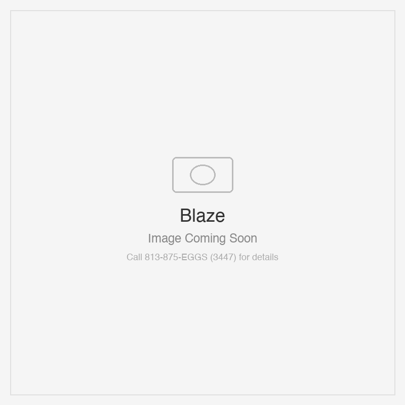 Blaze BLZ-FBOWL-TCOVER