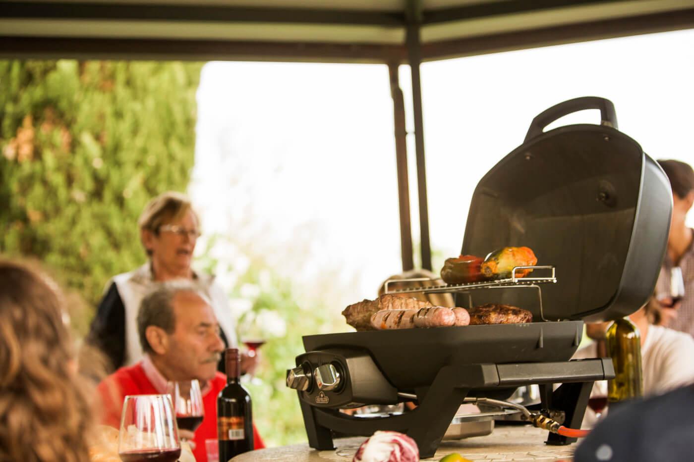 Napoleon TravelQ PRO285 Portable LP Gas Grill, Black